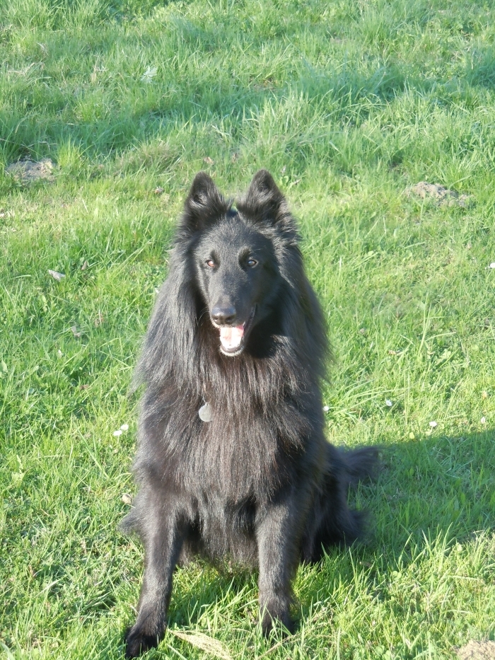 nash